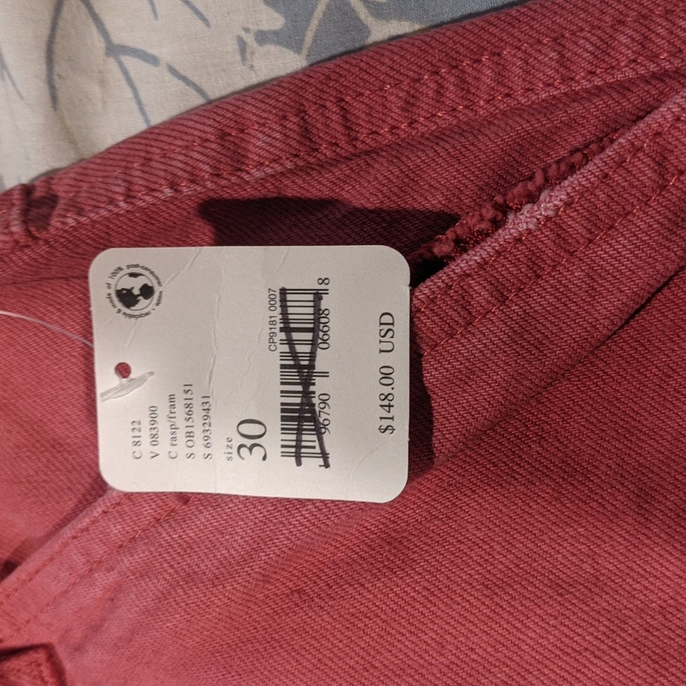Free People Canvas Cargo pants jeans